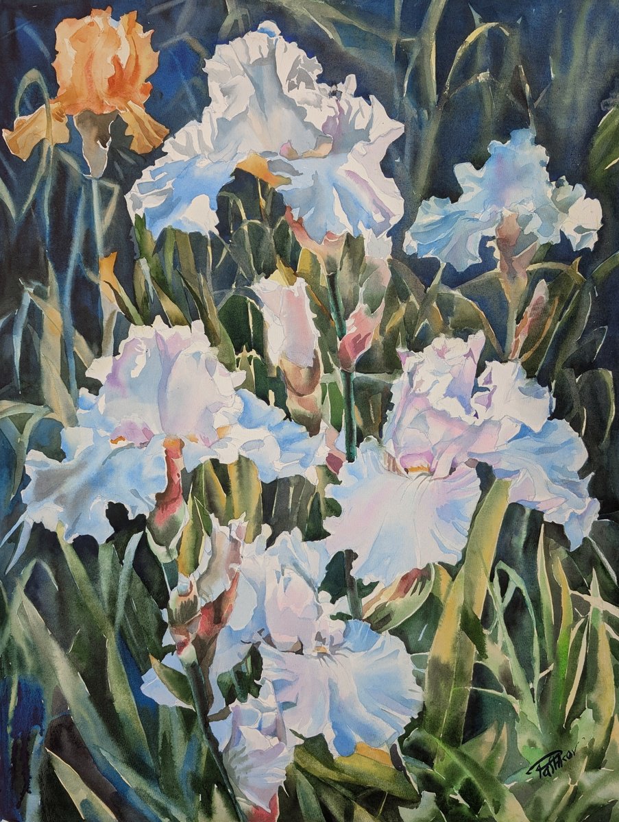 Impressionistic Watercolour , White Irises #5 By Yurii Pashkov, 22 X 30, Artwork For Sale On Artfinder