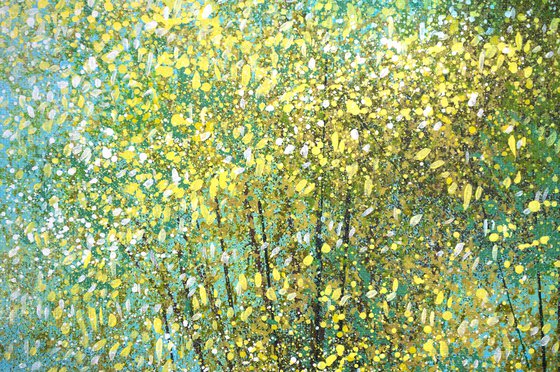 Forest Edge Summer Trees