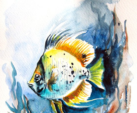 Colorful fish II