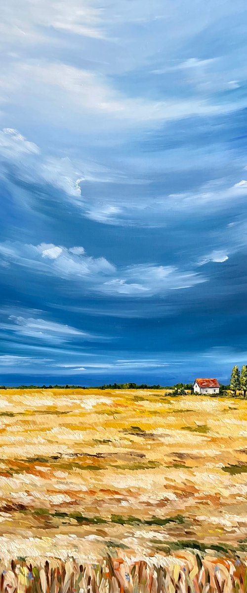 Wheat field by Tanya Stefanovich