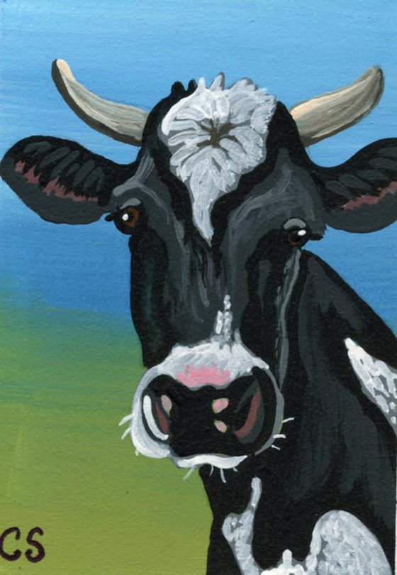 ACEO ATC Original Painting Black White  Cow Farm Animal Art-Carla Smale