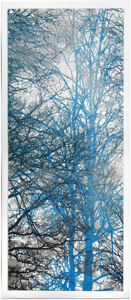 Impressionistic Botanical Screenprint By Chris Keegan, 10 X 22, Silverwood, Original Artwork