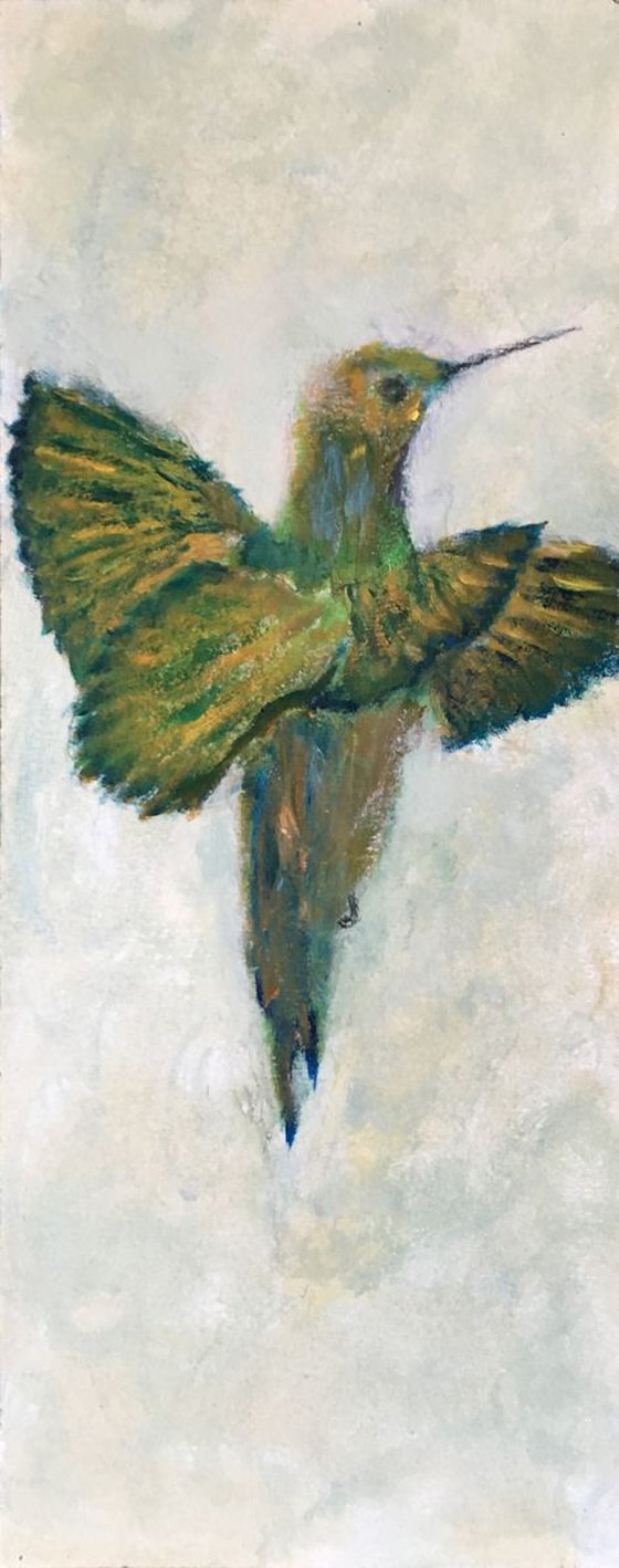 Study of hummingbird III