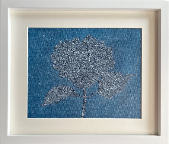 Hortensia Blue