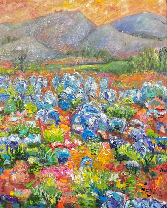 SALTBUSH AND RED EARTH