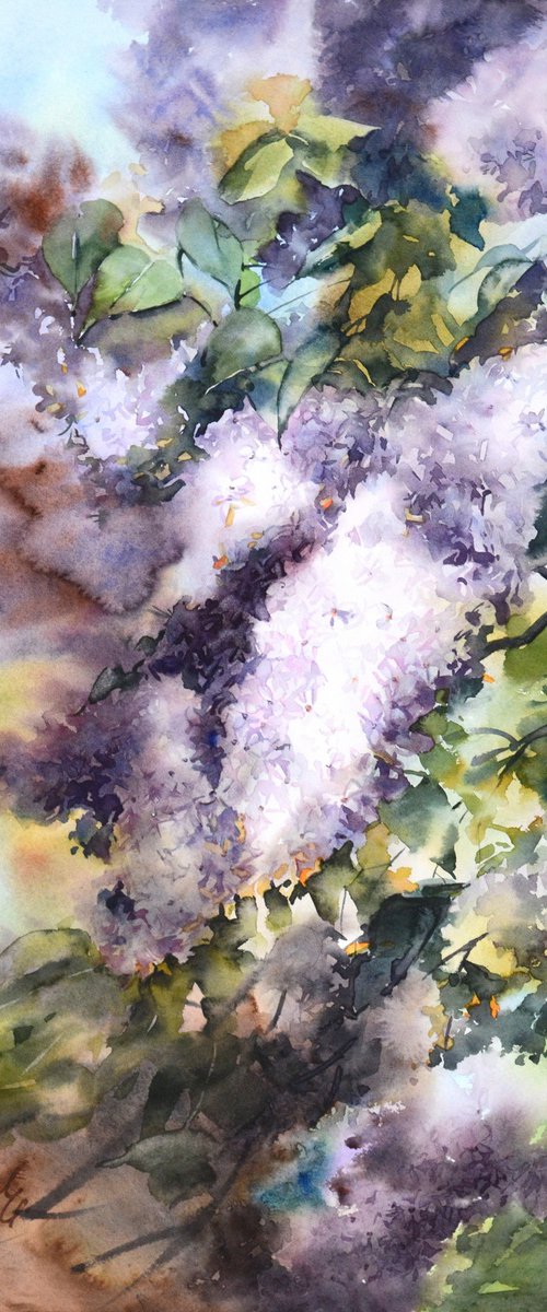 Lilac garden in watercolor by Yulia Evsyukova