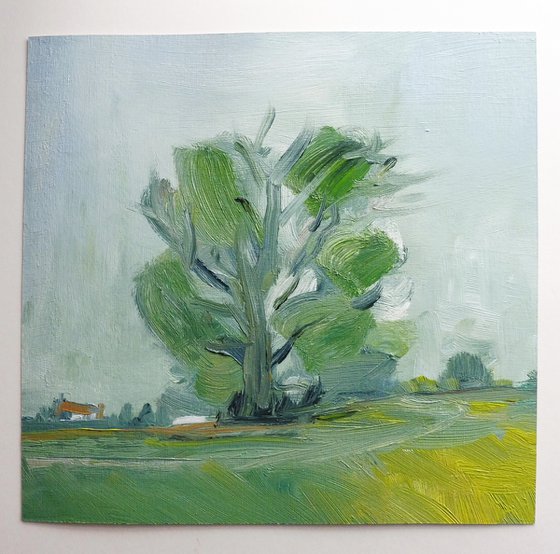 SUMMER TREE & DWELLING, WARWICKSHIRE LANDSCAPE. Original Landscape Oil Painting.