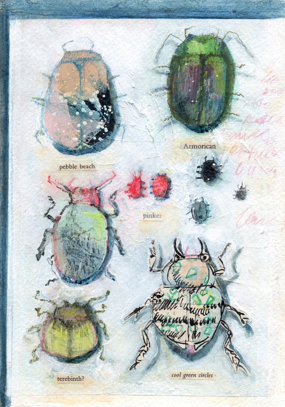 Bug Collection #08