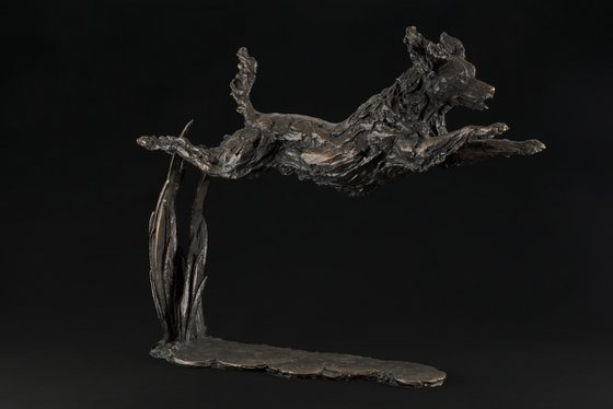 Leaping Spaniel FB