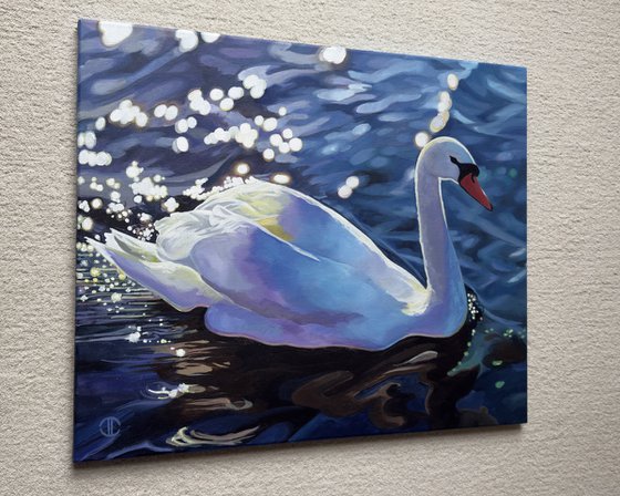 Sunlit Swan Glinting Water