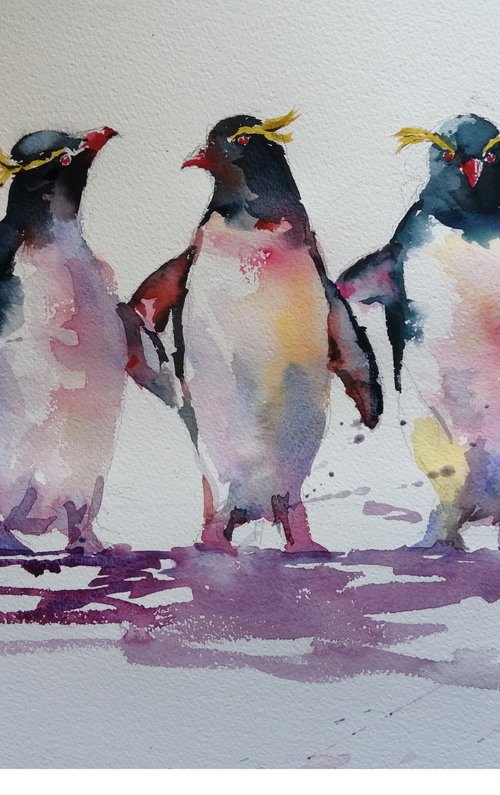 penguins 5 by Giorgio Gosti