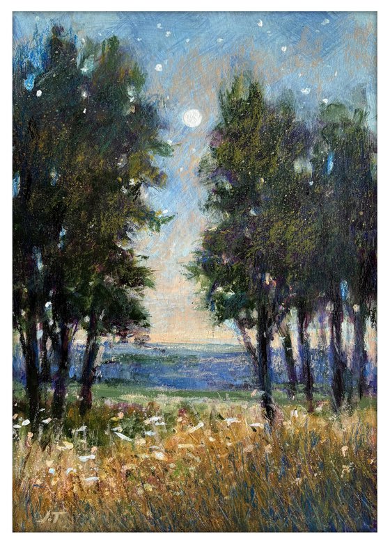 Moonlight Meander