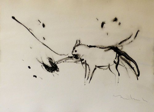 Cat and Bird, ink drawing 29x42 cm by Frederic Belaubre