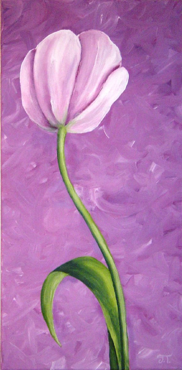 Tulip I by Jennifer Cussons