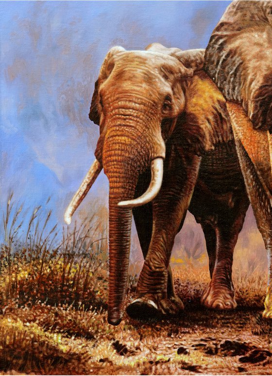 Wild Elephants 2