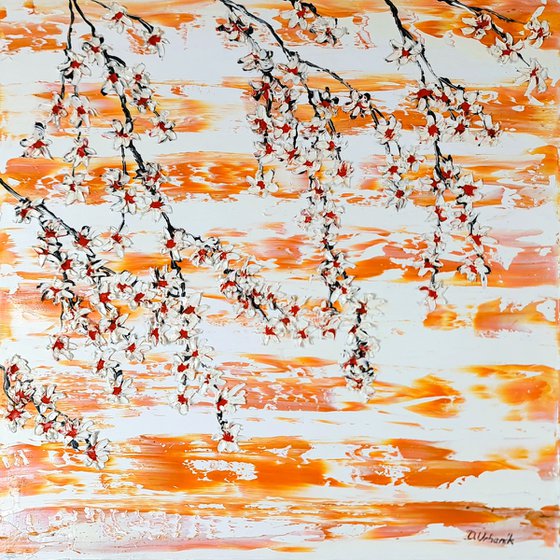 Cherries in the spring 3