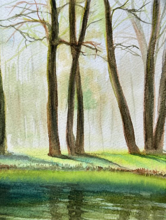 Green Reflections of Spring