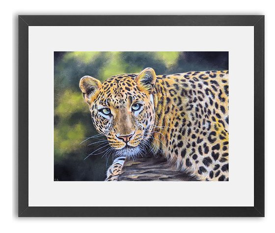 Leopards Gaze VIII (Original Painting)