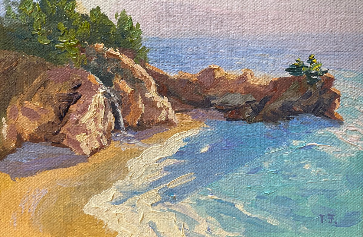 McWay Falls Shadows Landscape by Tatyana Fogarty