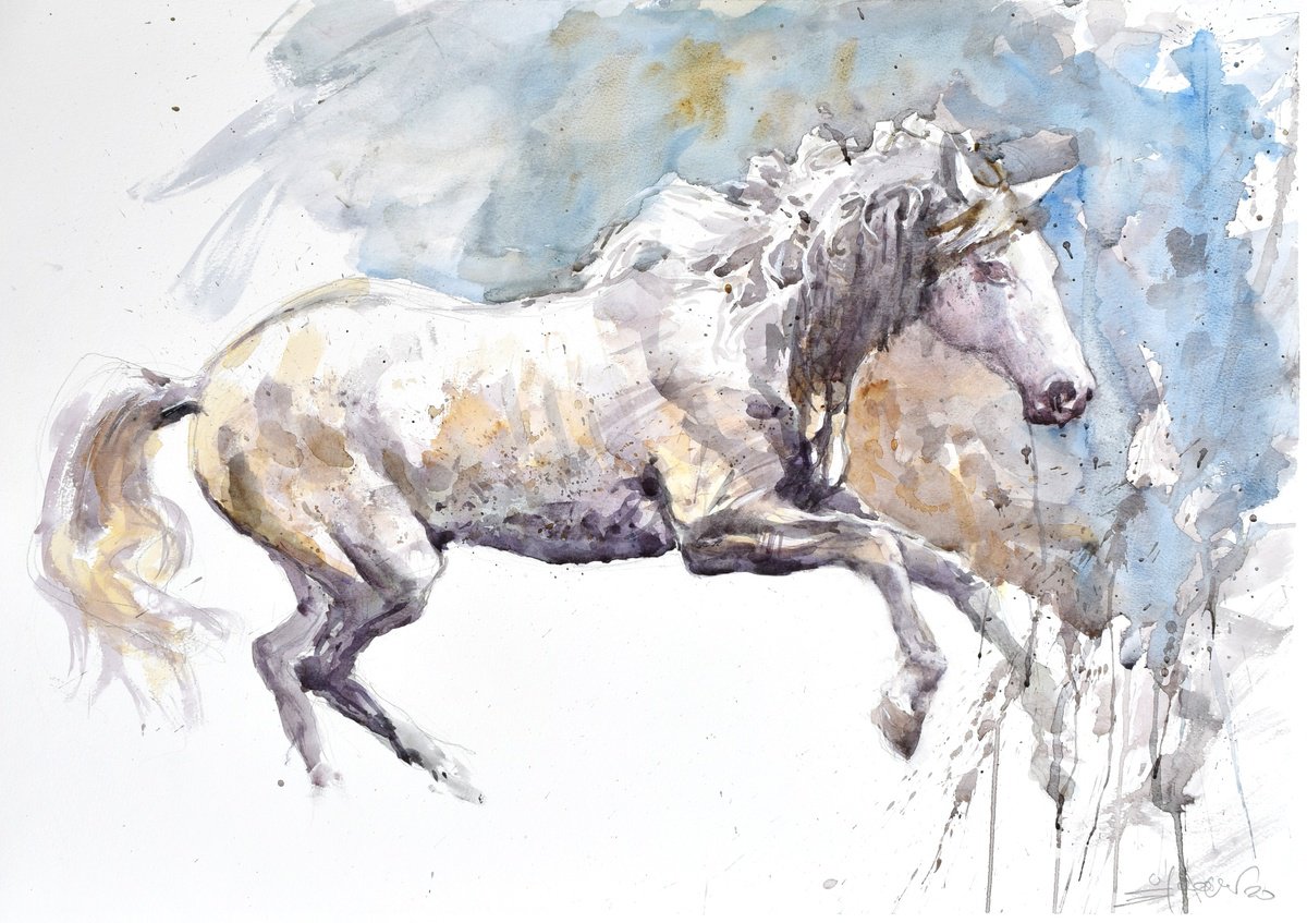 Expressive Animal Watercolour By Goran Zigolic Watercolors, 28 X 20, Running Horse (70X50), Original Artwork