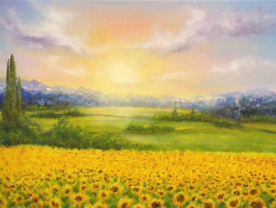 Sunflowers field
