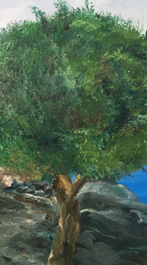 Old olive Tree by Timea  Valsami