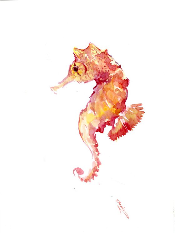 seahorse