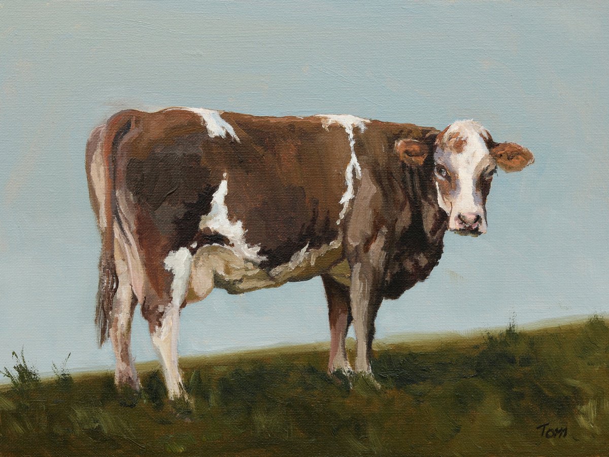 Swiss Fleckvieh Cow by Tom Clay