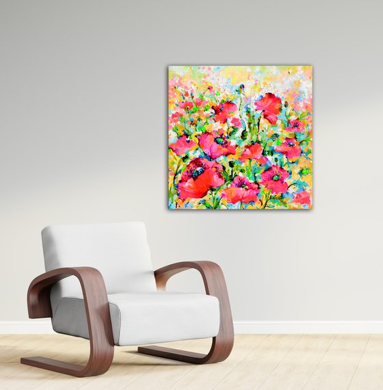 Red Opium Poppy Field