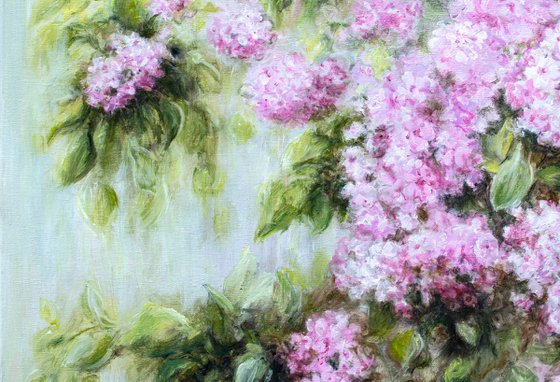 Pink Breath of Summer