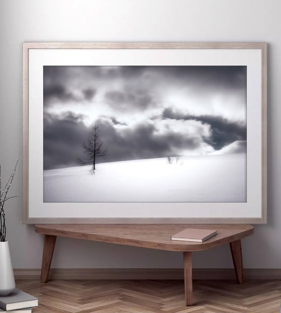 White Italian Scape #12