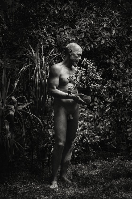Male Nude with Plant