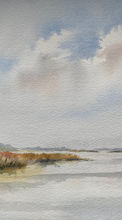 River Alde, Suffolk by Noel Sawyer