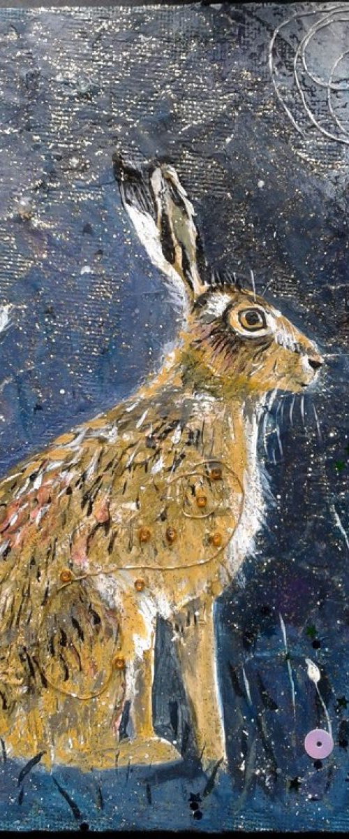 Hare, Stars and Moon by Fiona Plaisted