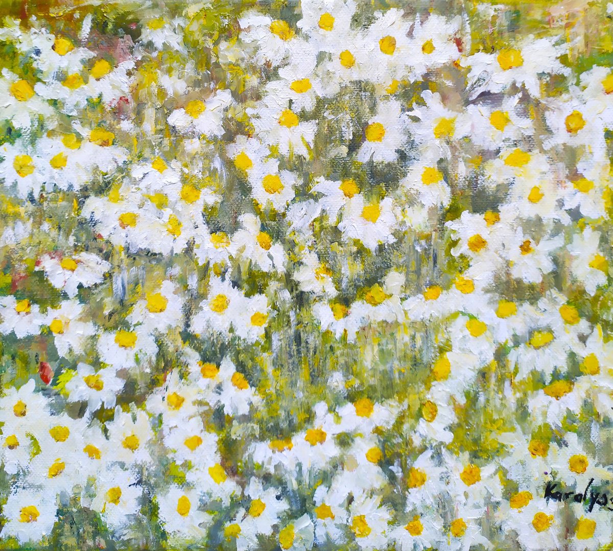 Impressionistic Botanical Oil Painting By Maria Karalyos, 12 X 9", Field With Daisies In Bloom, Original Artwork