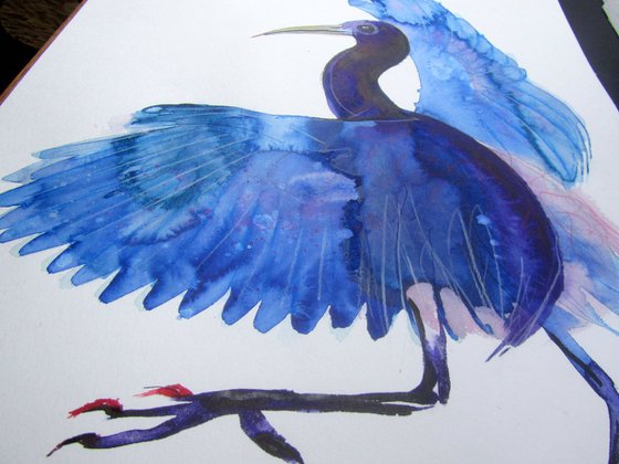 Blue Heron Dancing