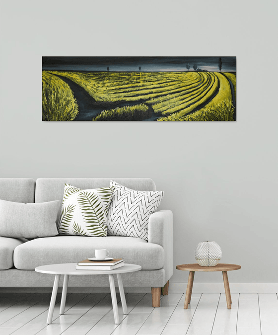 The Horizon - Fields and Colors Series