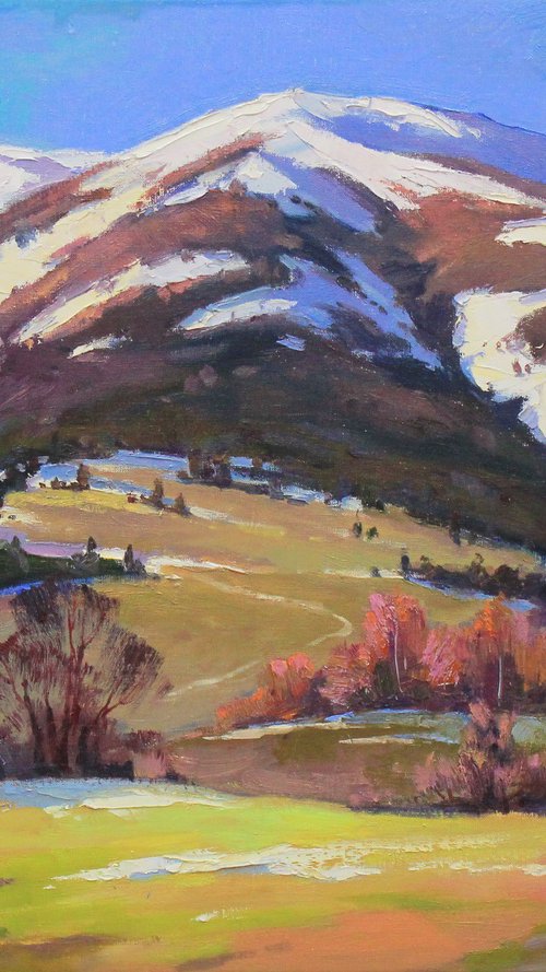 In the mountains by Alisa Onipchenko-Cherniakovska