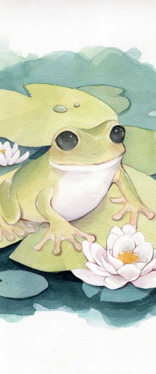 Frog Illustration by Alejandra Paredes