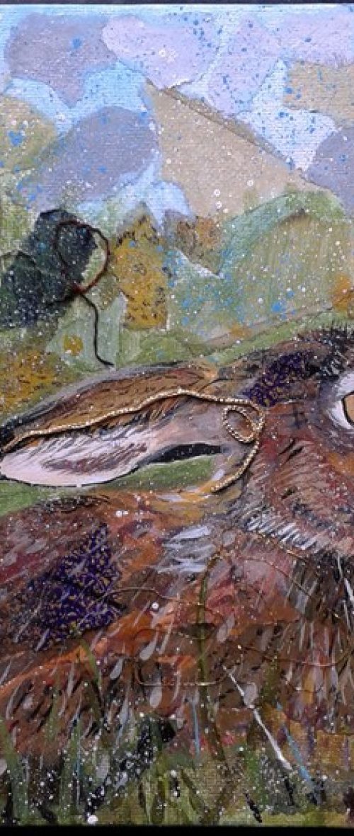 Hare in the meadow by Fiona Plaisted