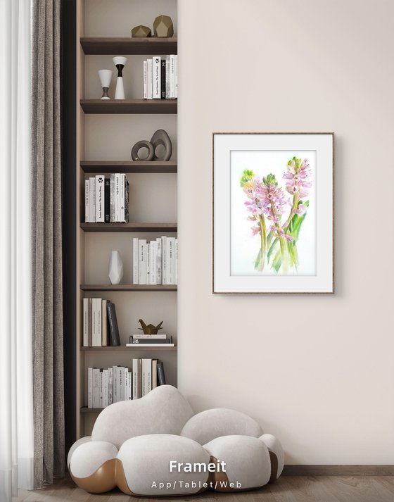 Blush in bloom original hyacinth watercolour