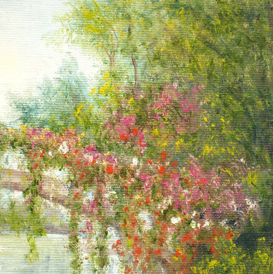 Water lily pond