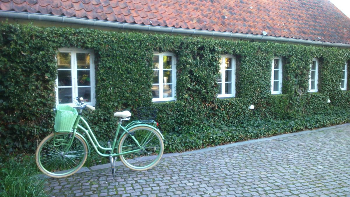 GREEN HOUSE IN DENMARK by Hana Auerova