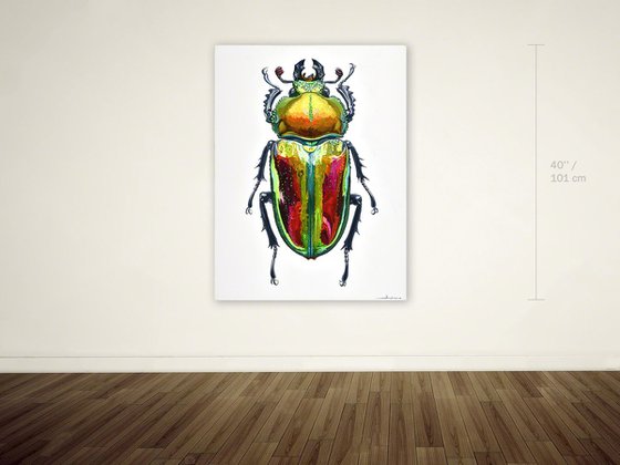 Rainbow Stag Beetle