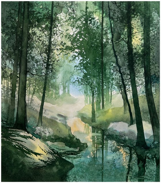 Forest landscape
