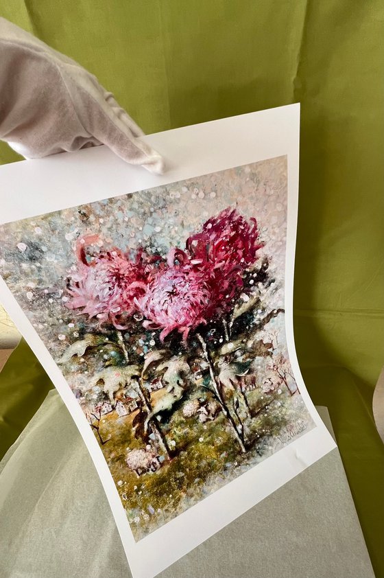 Pink Autumn chrysanthemums