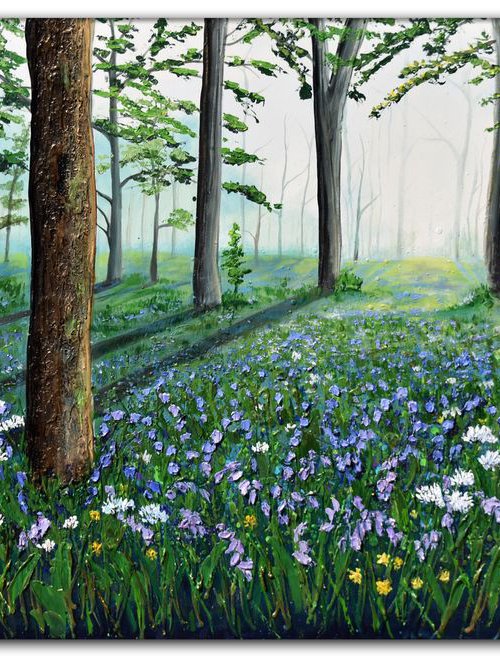 Bluebell Woods by Amanda Dagg