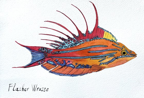 Exotic Colorful fish