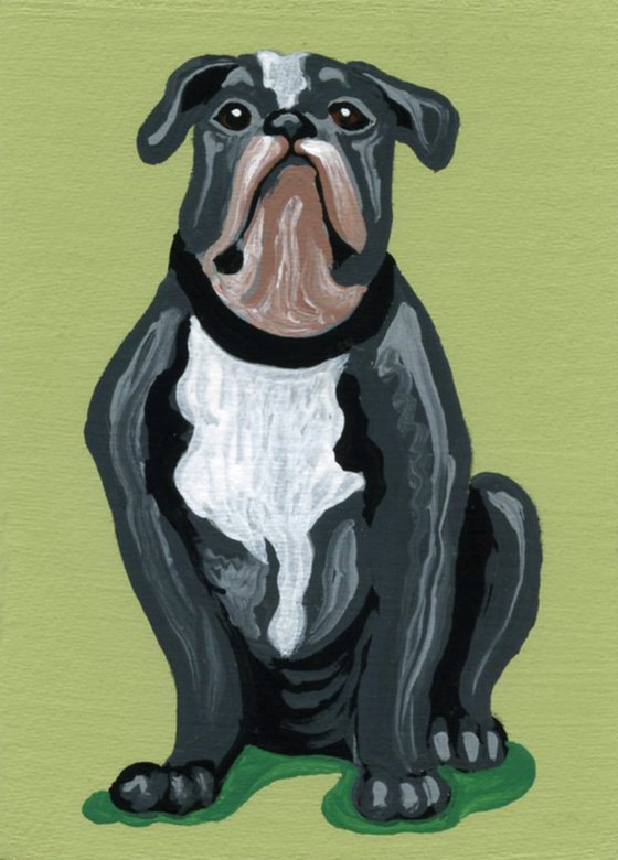 ACEO ATC Original Miniature Painting Olde English Bulldogge Pet Dog Art-Carla Smale