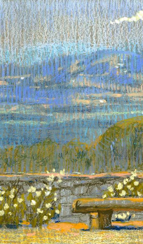 Auvergne. Sunny Valley with Cypress by Olga Kataeva-Rochford